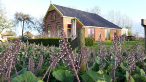 de-heemen-zorgboerderij